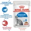 Корм Royal Canin Indoor Sterilised для домашних стерилизованных кошек в соусе 85 г