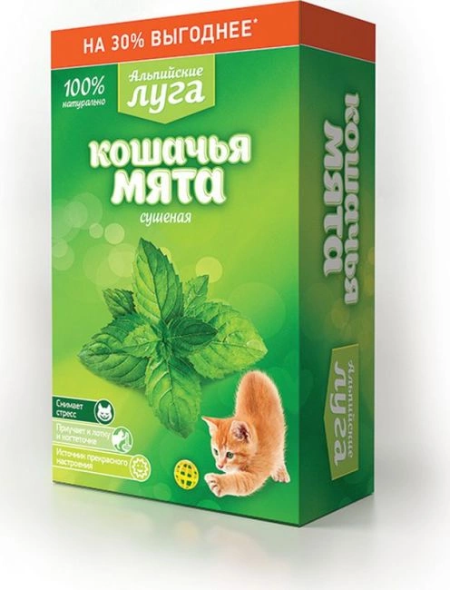 Кошачья мята "Альпийские луга" сушеная 20 г фото 1