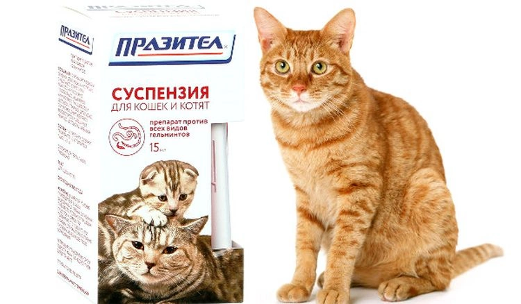 Суспензия Празител для кошек и котят, 15 мл фото 1
