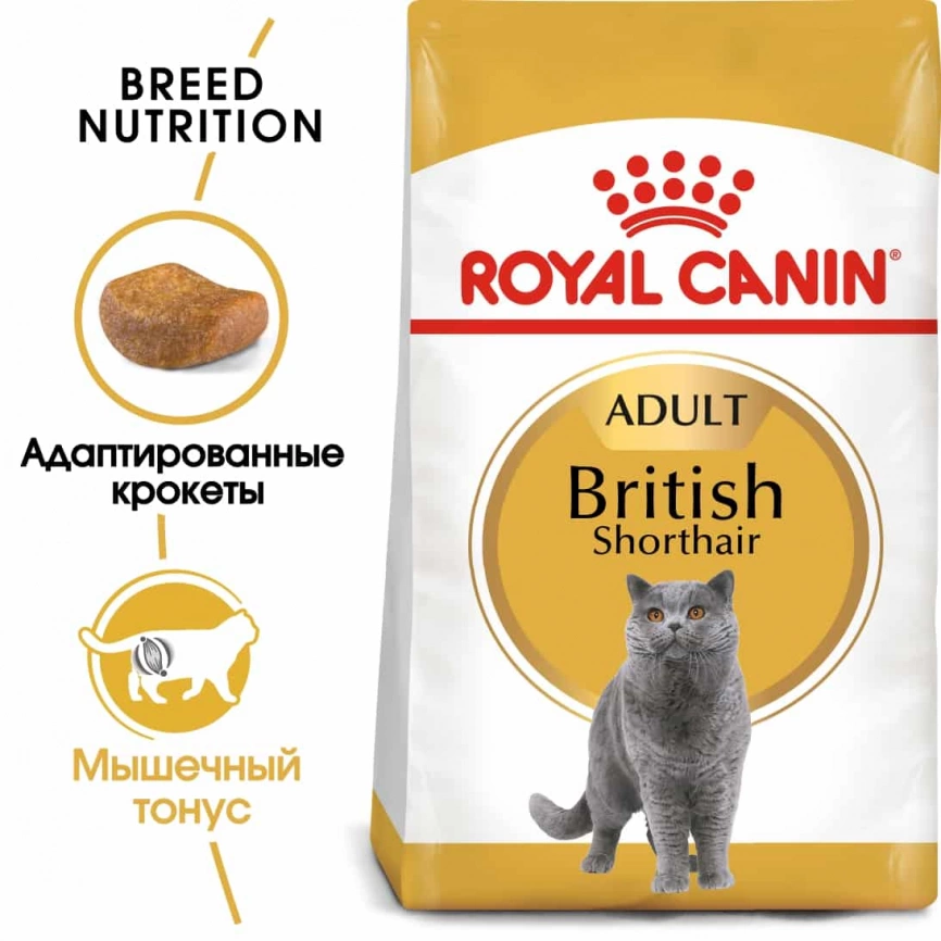 Royal Canin British Shorthair Adult Корм сухой сбалансированный для взрослых британских короткошерстных кошек, 400 г фото 2