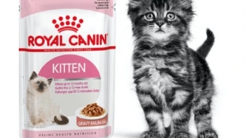 Рекомендации по кормлению Royal Canin