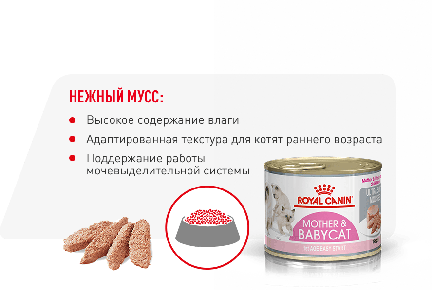 инфо