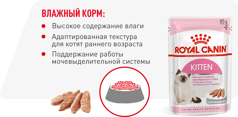 инфо