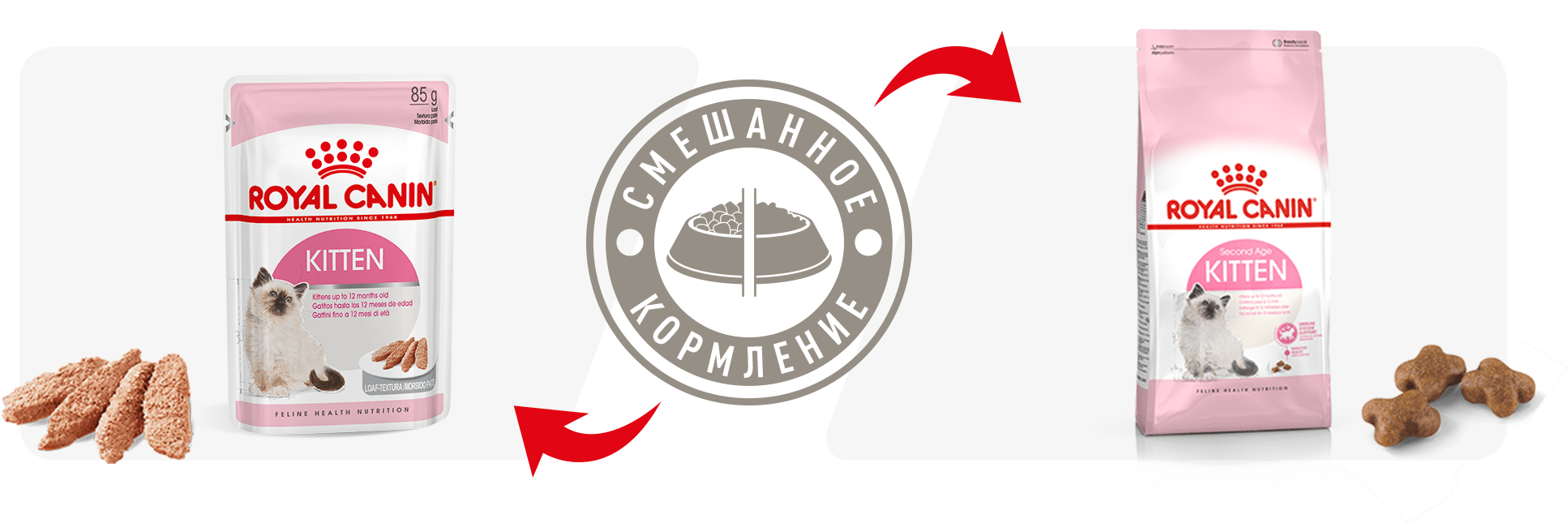 Рекомендации по кормлению