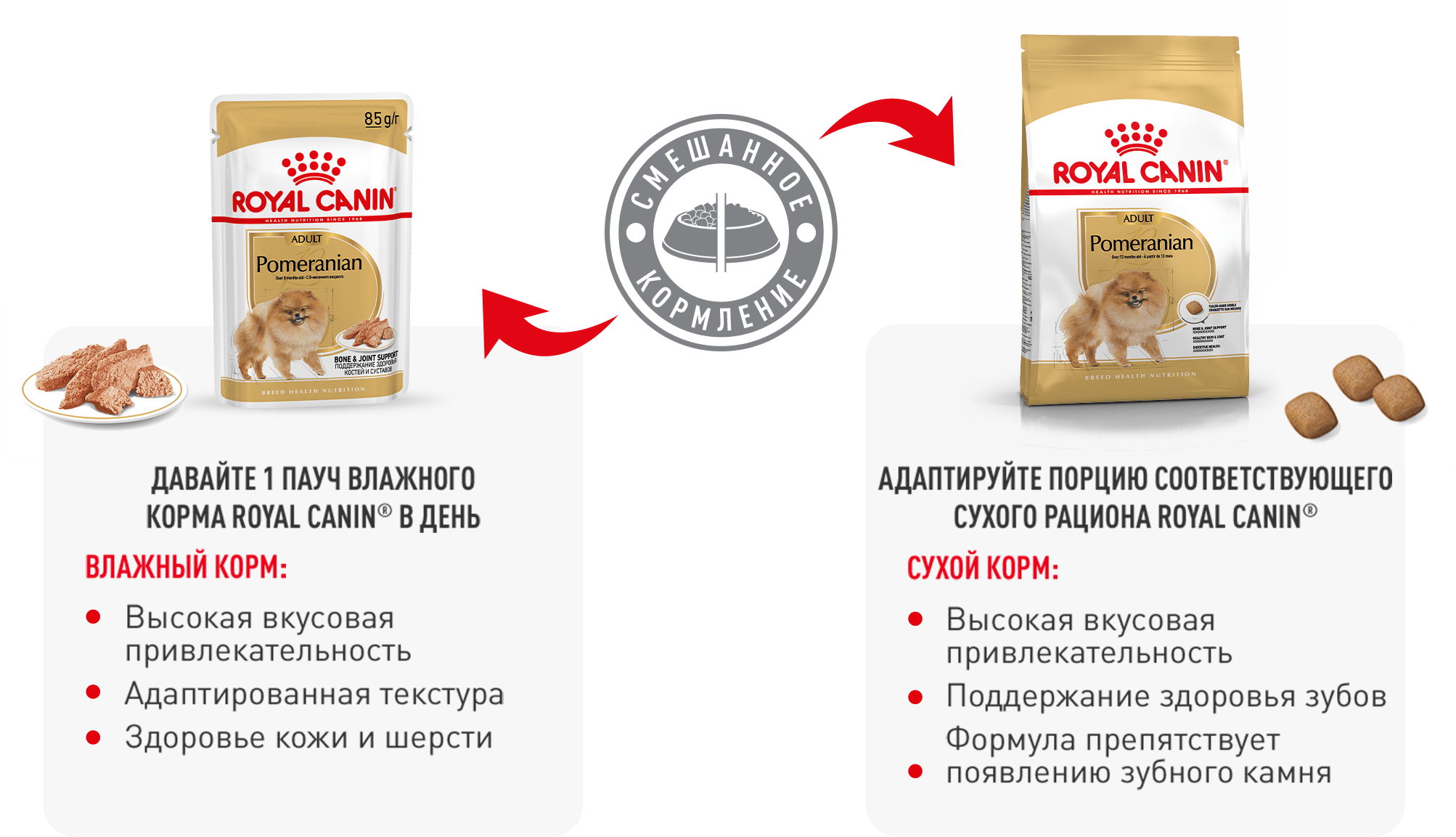 Рекомендации по кормлению